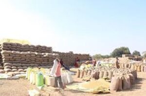 धान खरीदी को आसान बनाने की दिशा में राज्य सरकार का निर्णायक कदम: धान विक्रय प्रक्रिया हुई सरल, अब दिन-रात कभी भी मिलेगा तूहर टोकन